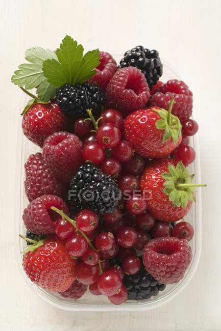 Mixed berries in plastic punnet — Stock Photo
