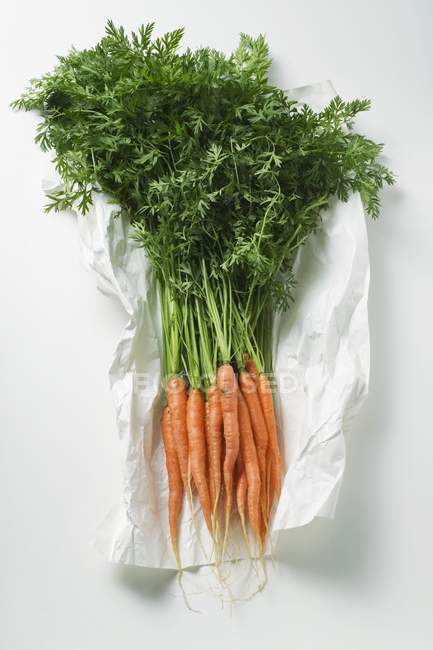 Mazzo di carote fresche con steli — Foto stock