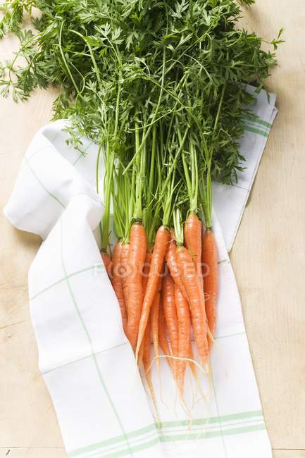 Frisch gepflückte Karotten — Stockfoto