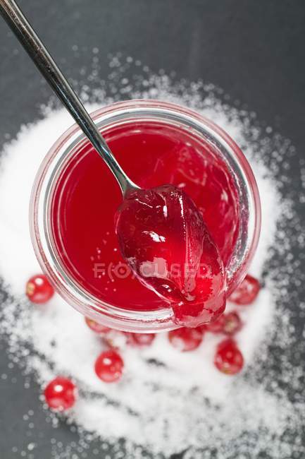 Tarro de gelatina de grosella roja - foto de stock