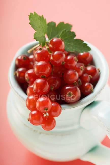 Ripe redcurrants with leaves — Stock Photo