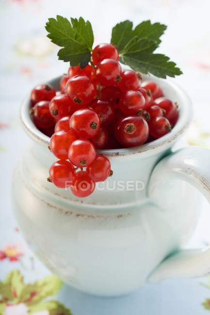 Grosellas rojas maduras con hojas - foto de stock