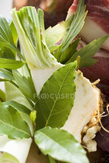 Soup vegetables and beef — Stock Photo