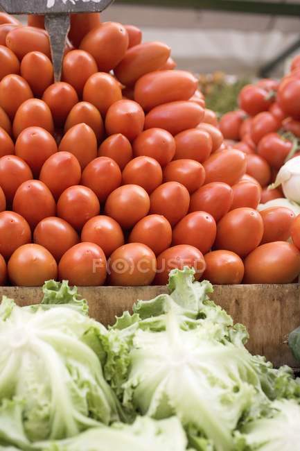 Montón de tomates frescos de ciruela en caja - foto de stock