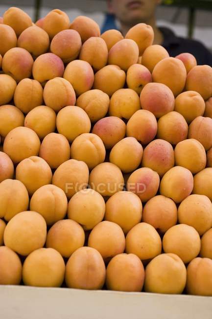 Свіжі абрикоси в ящику — стокове фото