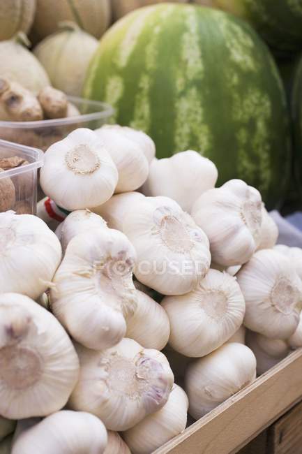 Fresh Garlic in crate — Stock Photo