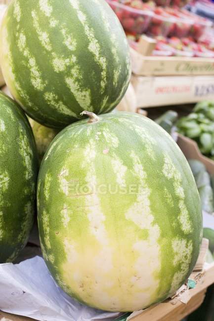 Fresh ripe watermelons — Stock Photo