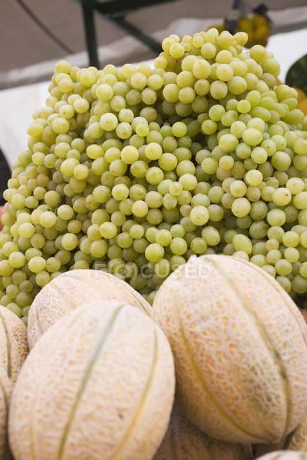 Melons cantaloups mûrs — Photo de stock