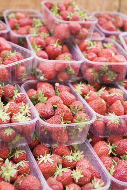 Erdbeeren im Plastikbehälter — Stockfoto