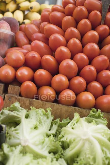 Montón de tomates frescos de ciruela en caja - foto de stock
