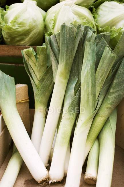 Fresh leeks and cabbages — Stock Photo
