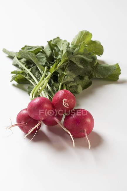 Bouquet de radis frais mûrs — Photo de stock
