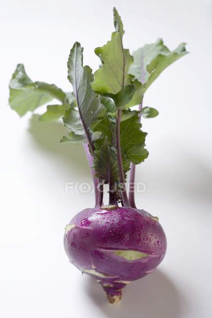 Purple kohlrabi with leaves — Stock Photo