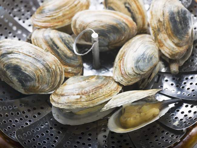 Closeup view of opened clams in steaming tray — Stock Photo