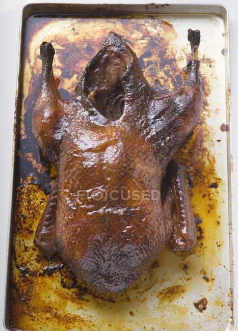 Canard rôti croustillant — Photo de stock