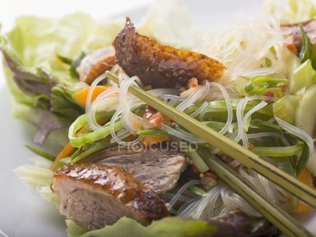 Lettuce with roast duck breast — Stock Photo
