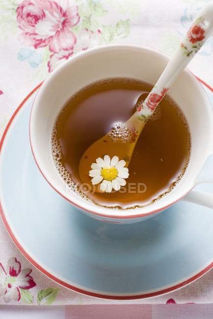 Tè alla camomilla in tazza — Foto stock