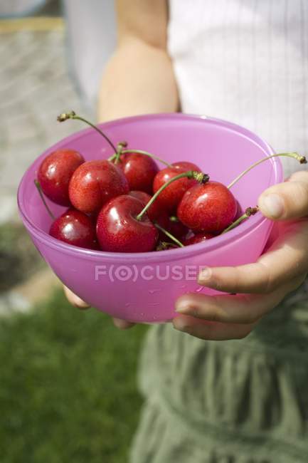 Ciotola di ciliegie rosse fresche — Foto stock
