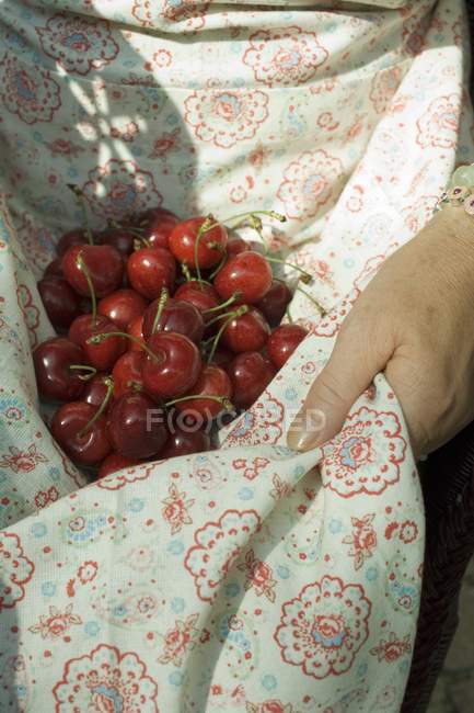 Mujer sosteniendo cerezas frescas - foto de stock