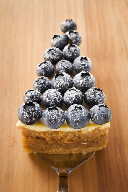 Piece of blueberry cheesecake — Stock Photo