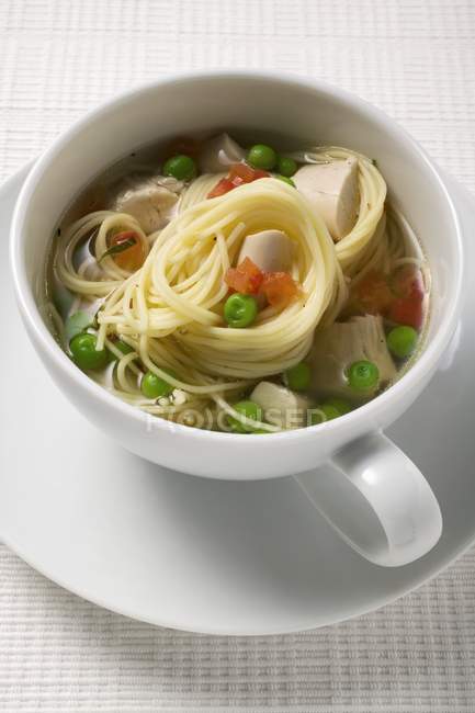 Sopa de fideos con pollo y verduras - foto de stock