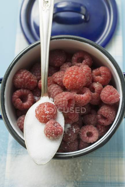 Fresh ripe raspberries with sugar — Stock Photo