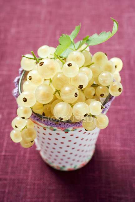 Ribes bianco in becher — Foto stock