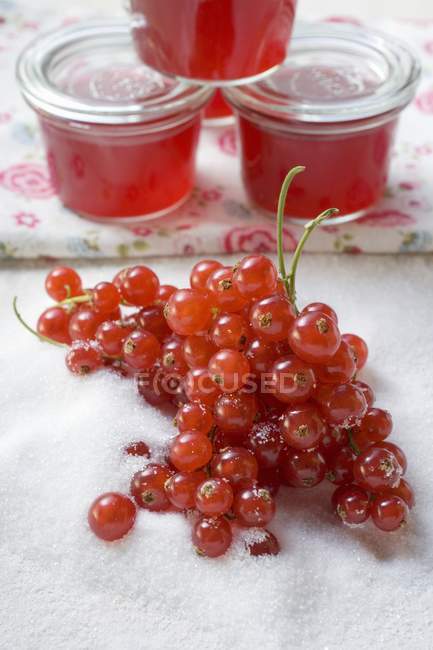 Ripe redcurrants in sugar — Stock Photo