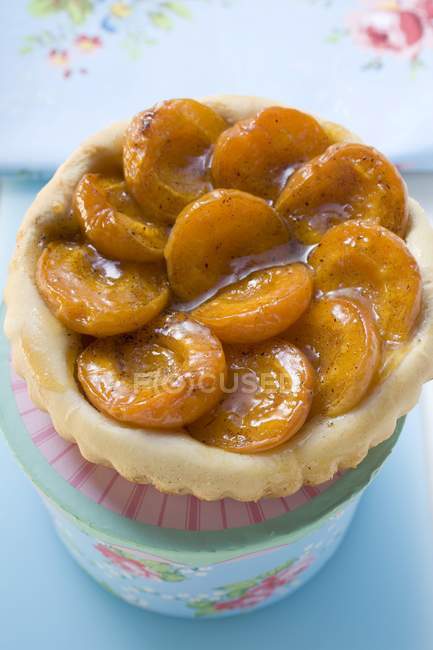 Домашний абрикосовый пирог — стоковое фото