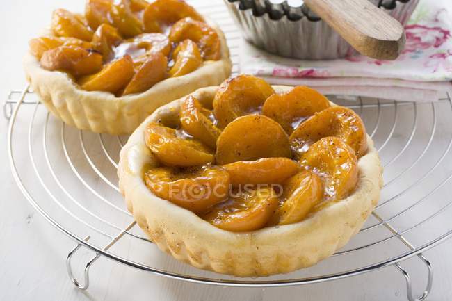 Apricot tarts on cake rack — Stock Photo