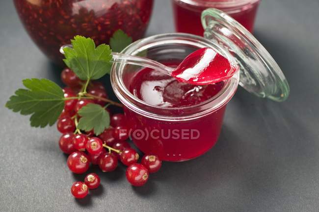 Redcurrant jelly in jar — Stock Photo