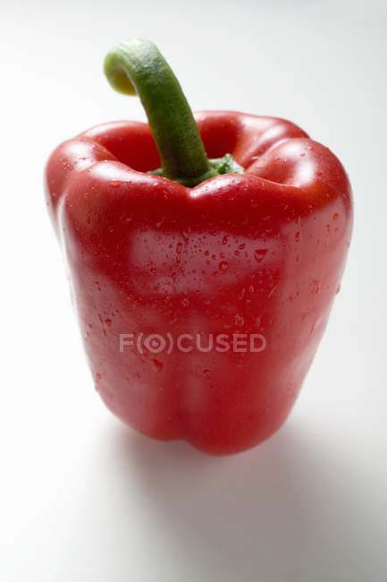 Rote Paprika — Stockfoto