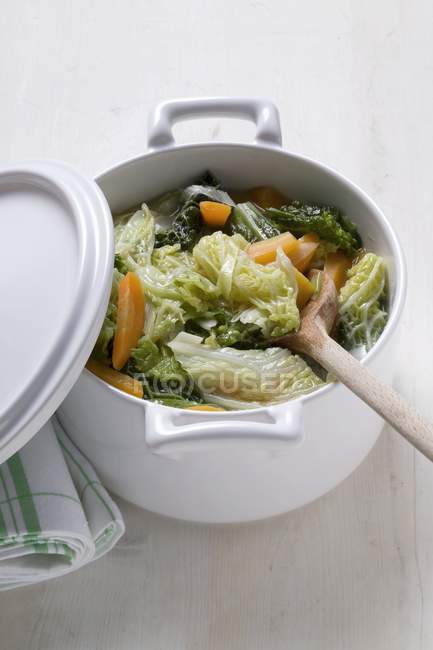 Savoy and carrot stew — Stock Photo