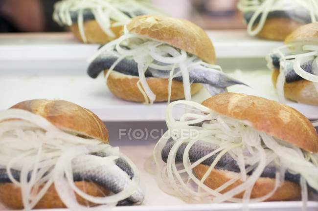 Herring and onion rolls on table — Stock Photo