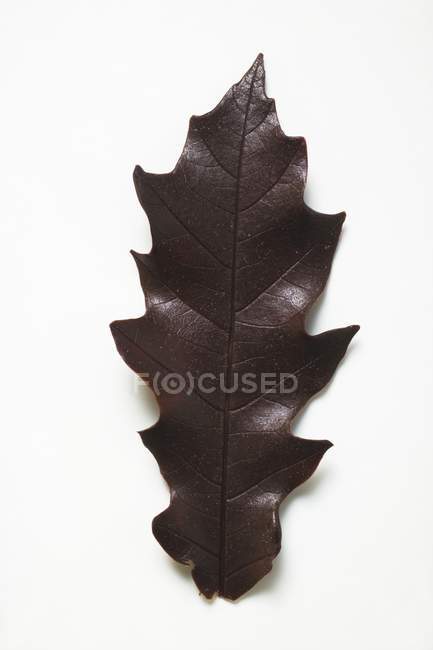 Close up of chocolate leaf — Stock Photo