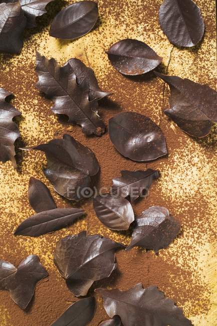 Varias hojas de chocolate diferentes - foto de stock