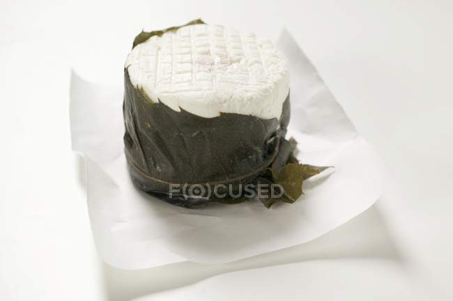 Goat's cheese in chestnut leaf — Stock Photo