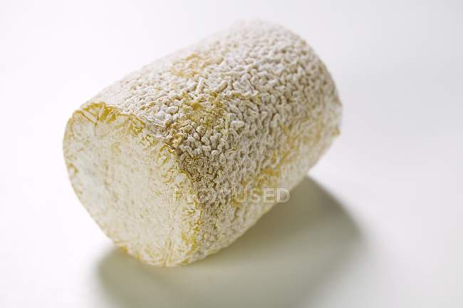 Козячий сир над білим — стокове фото