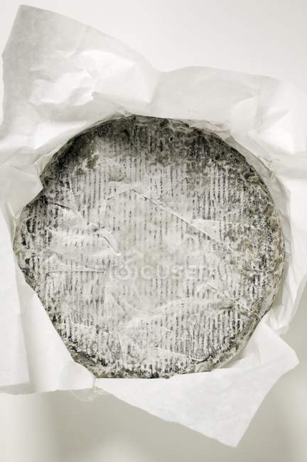М'який сир в папері — стокове фото