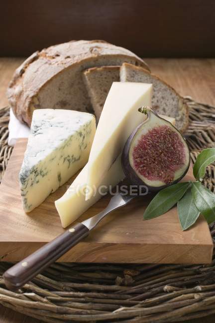 Various types of cheese — Stock Photo