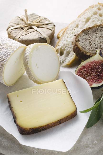 Bodegón de queso con pan - foto de stock