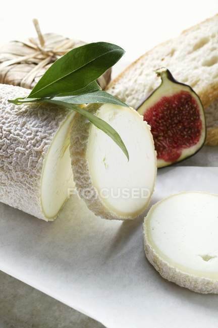 Käse-Stillleben mit Brot — Stockfoto