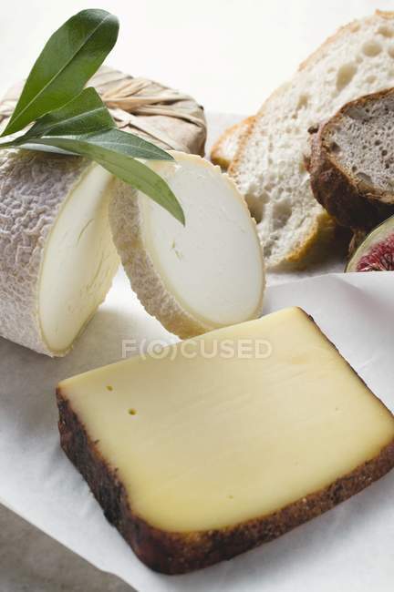 Bodegón de queso - foto de stock