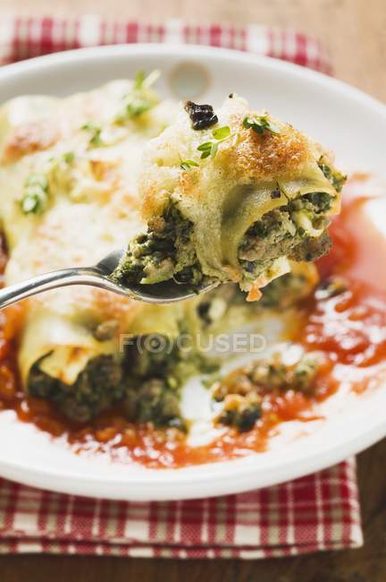 Cannelloni pasta со шпинатом и сыром — стоковое фото