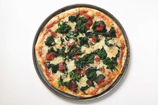 Сирна піца на тарілці — стокове фото