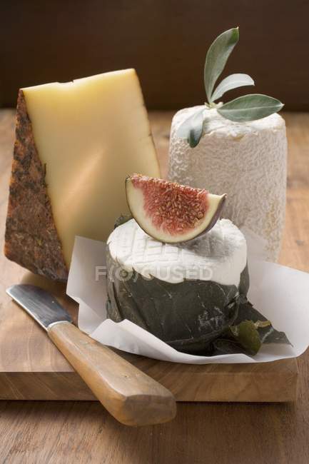 Bodegón de queso - foto de stock