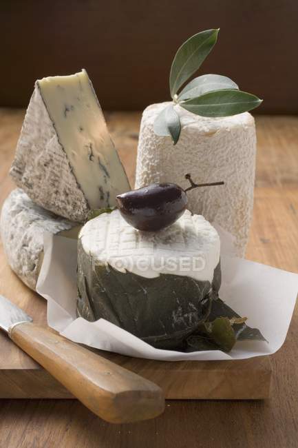 Blauschimmelkäse und Oliven — Stockfoto