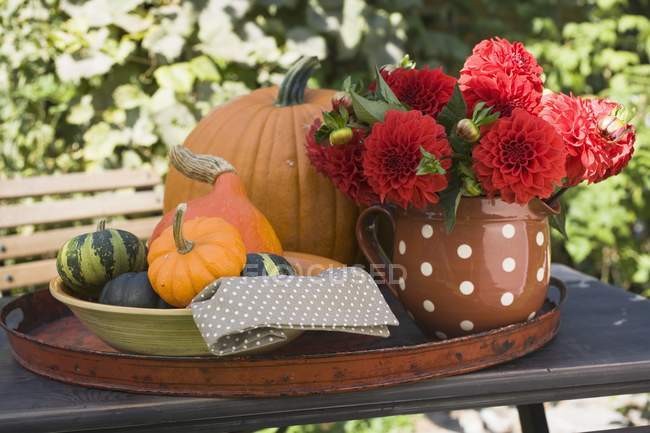 Pumpkins with squashes and flowers — Stock Photo