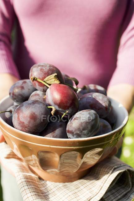 Femme tenant bol de prunes — Photo de stock