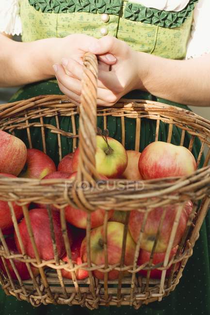 Basket of fresh apples — Stock Photo